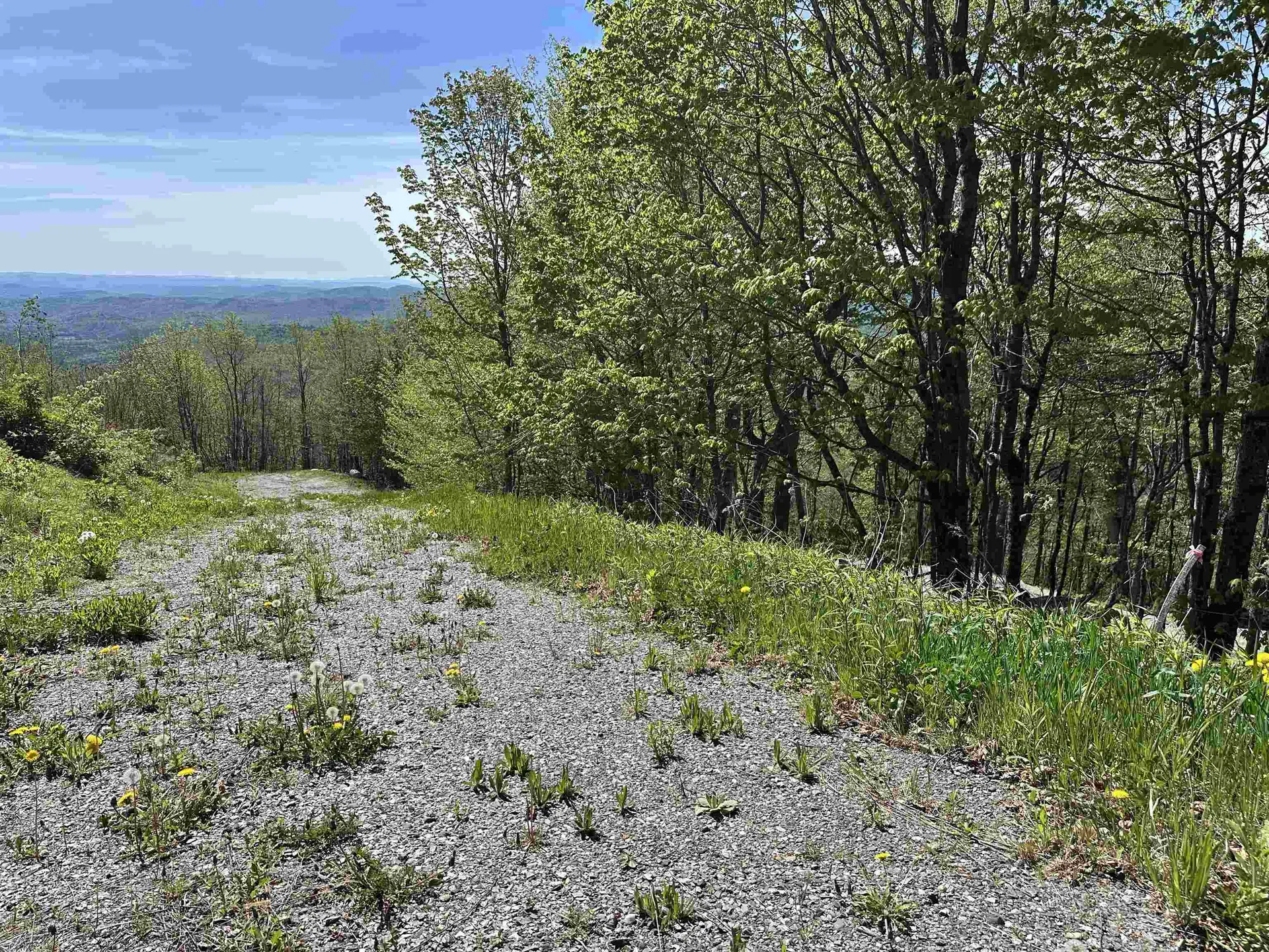 1992 Andover Ridge Road Andover VT 05143