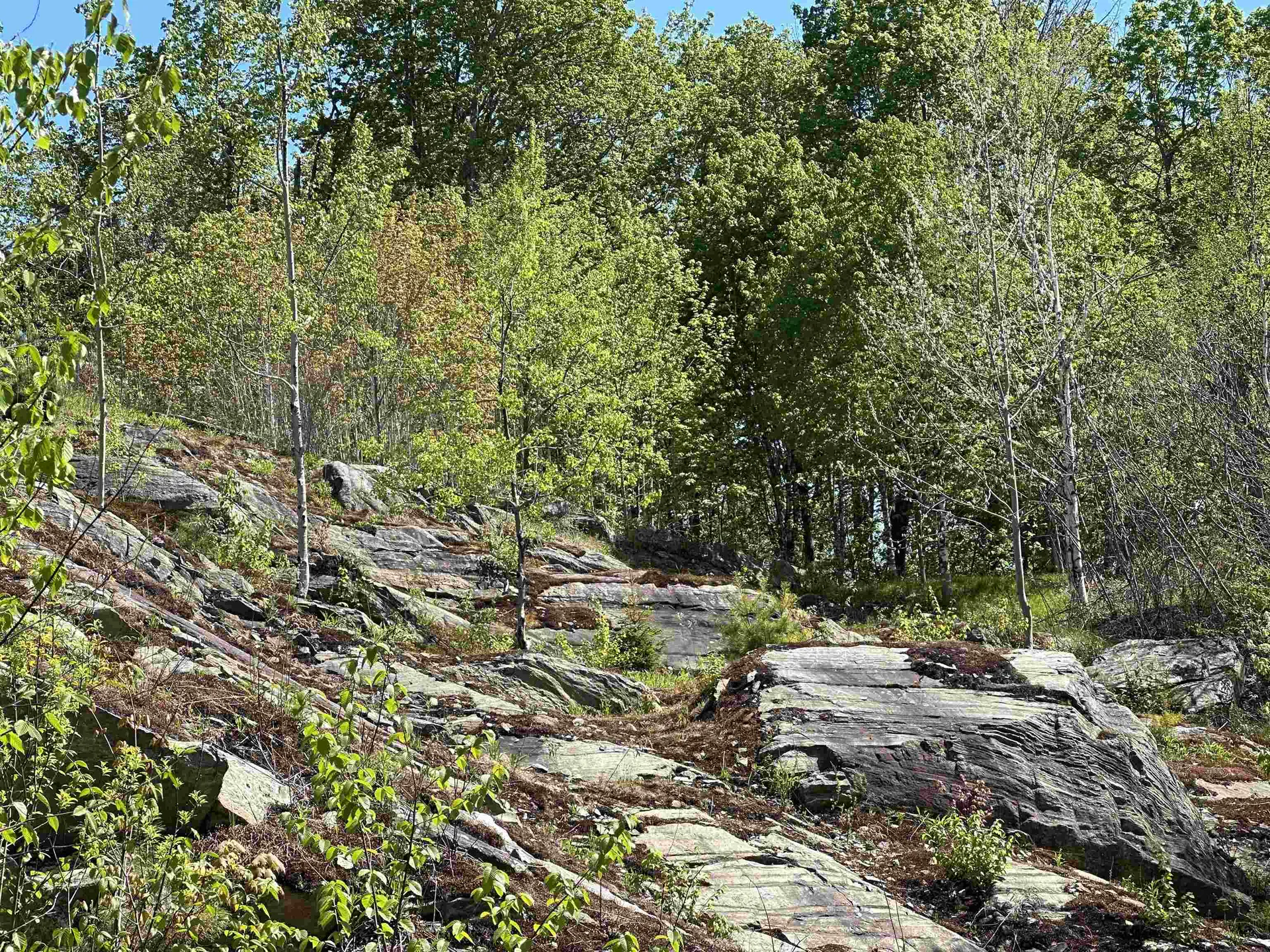 1992 Andover Ridge Road Andover VT 05143