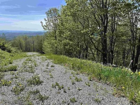 1992 Andover Ridge Road Andover VT 05143