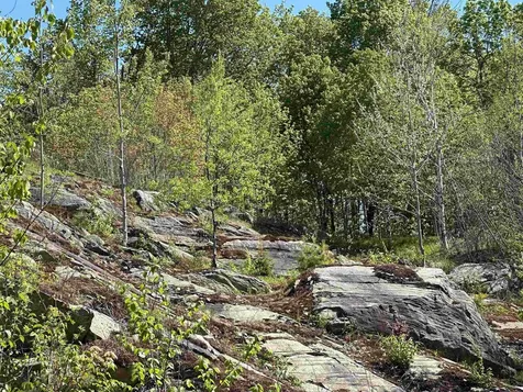 1992 Andover Ridge Road Andover VT 05143