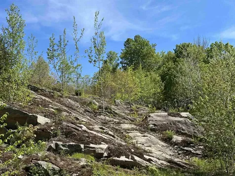 1992 Andover Ridge Road Andover VT 05143