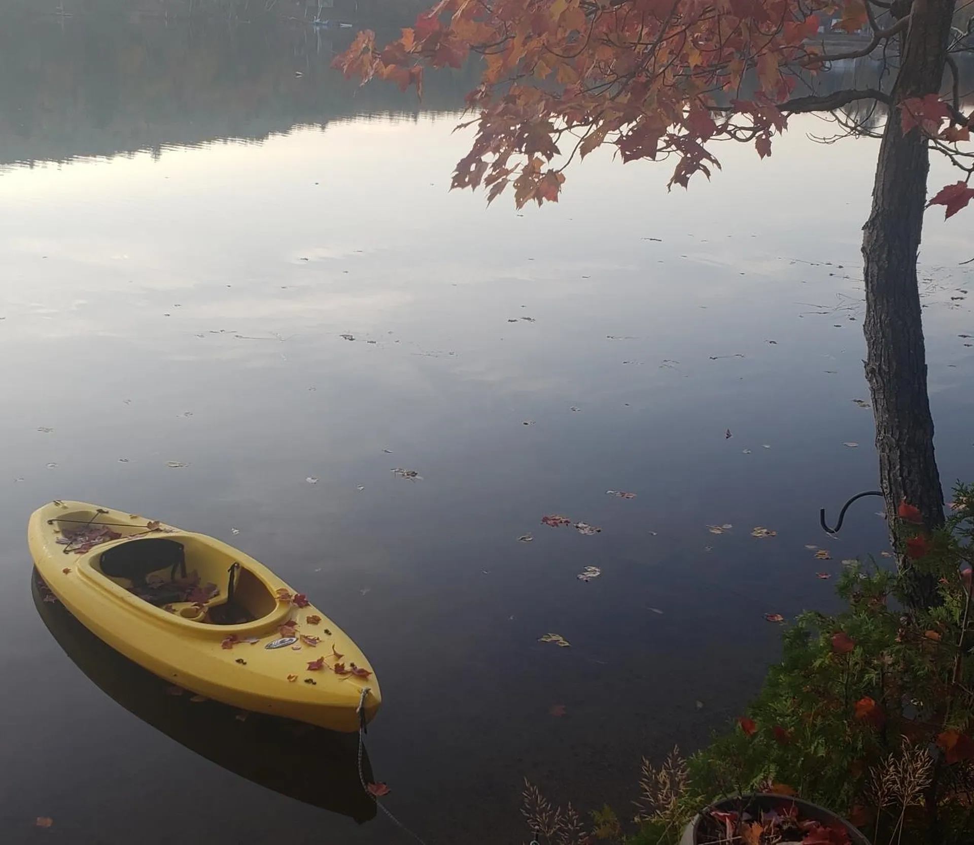 281 Cedar Pond Drive Milan NH 03588