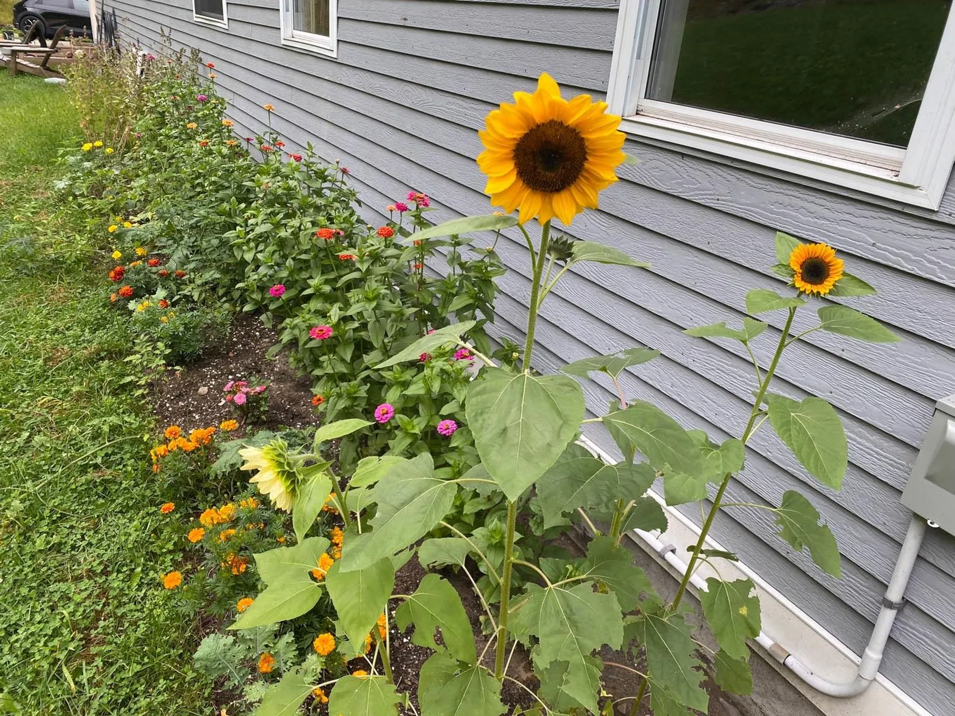 523 Browns Mill Road Berlin VT 05602