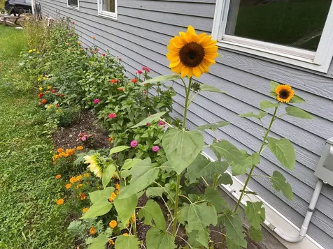 523 Browns Mill Road Berlin VT 05602