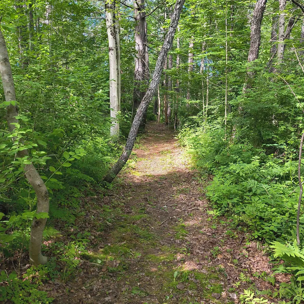 638 John Stark Highway Newport NH 03773