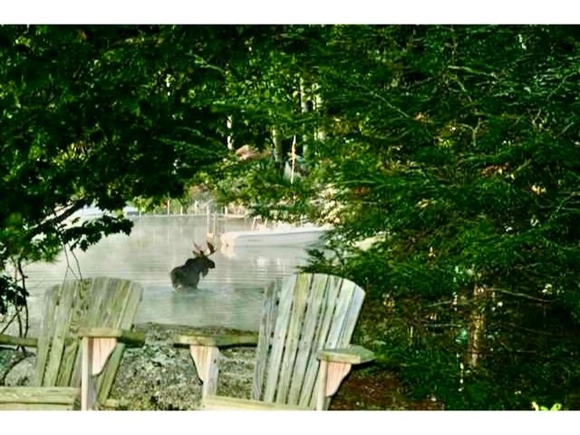 28 Veasey Shore Road Meredith NH 03253