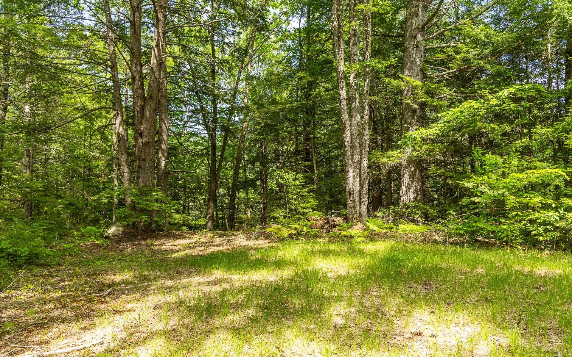 540 Fitzwilliam Road Richmond NH 03470