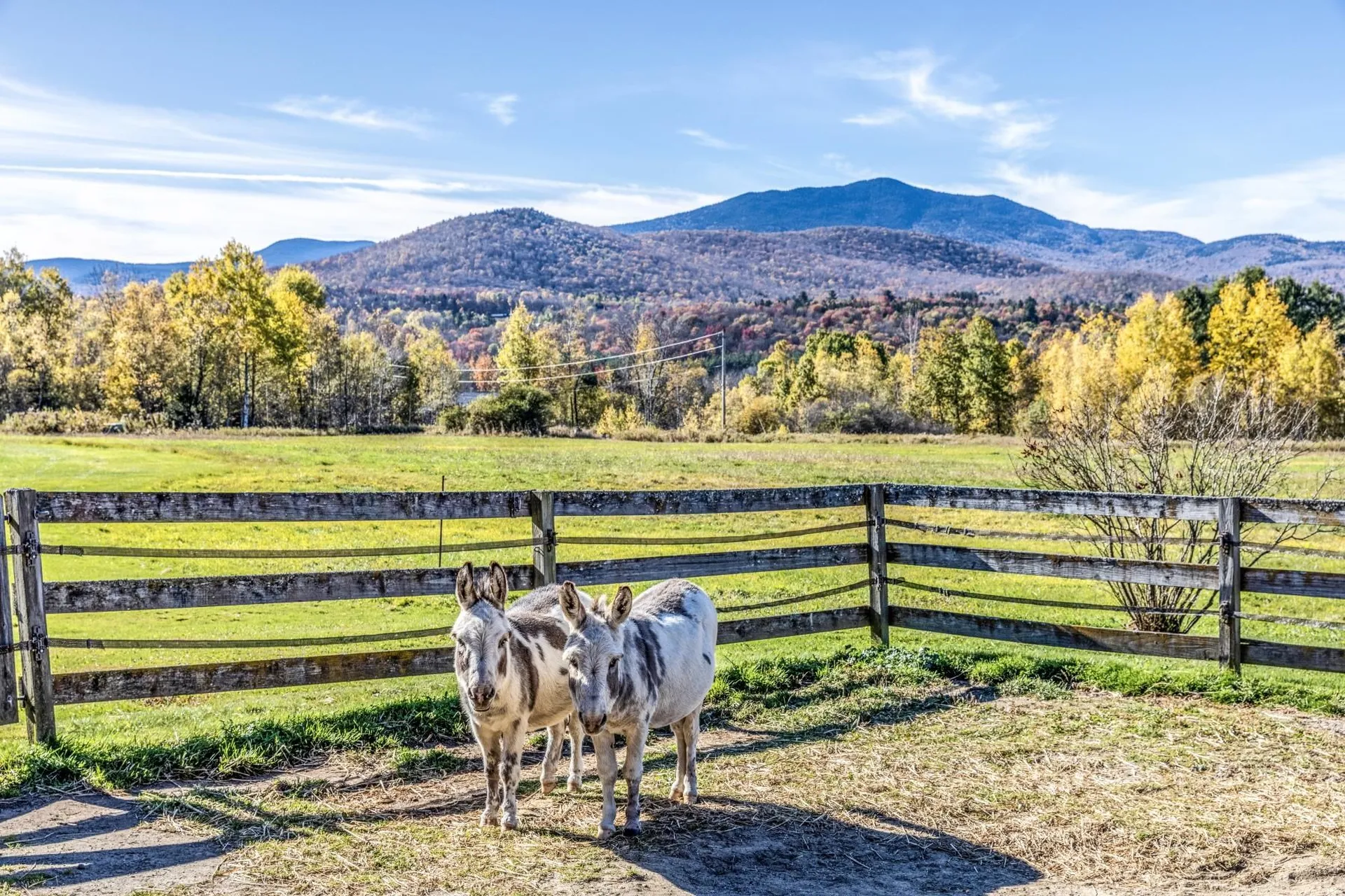 2148 Cote Hill Road Morristown VT 05661