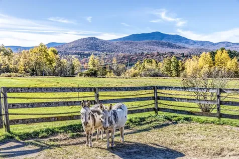 2148 Cote Hill Road Morristown VT 05661