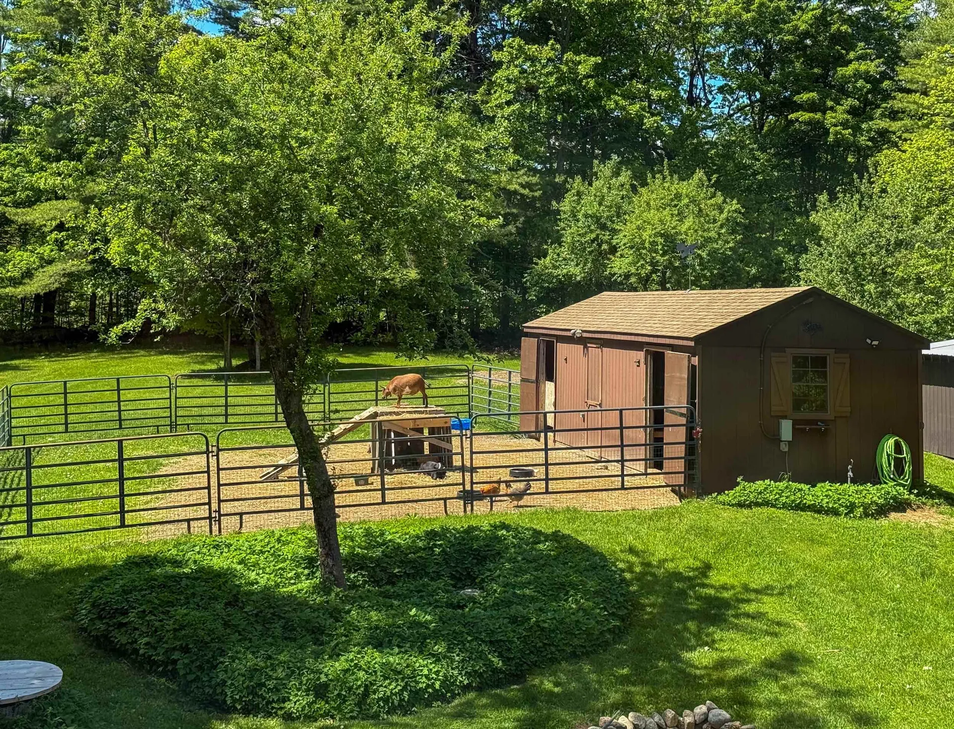 291 Halfmoon Pond Road Washington NH 03280