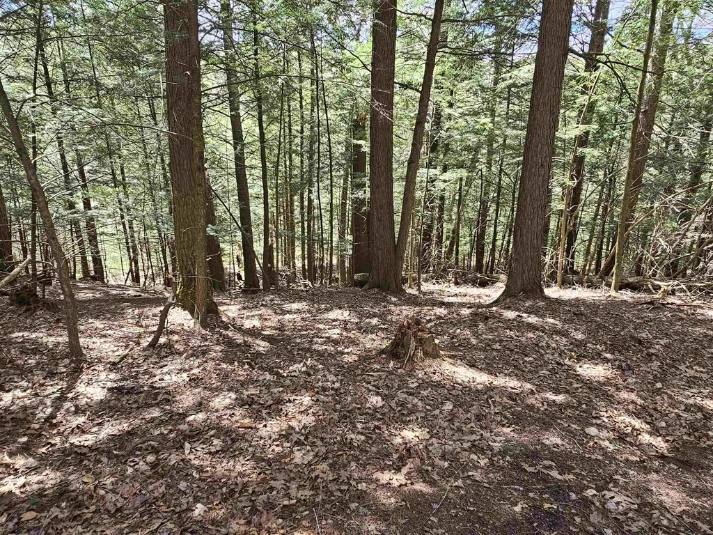 50 Range Road Pittsfield NH 03263