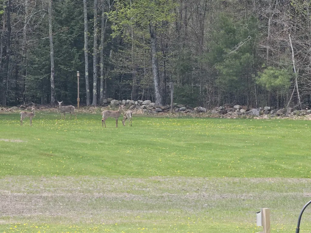 50 Range Road Pittsfield NH 03263