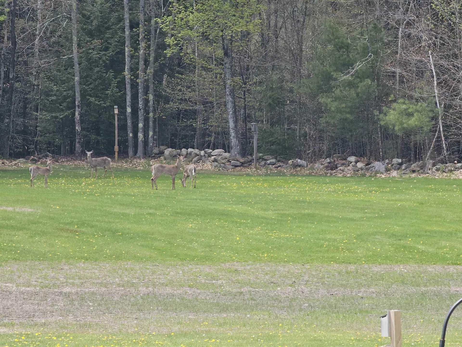 50 Range Road Pittsfield NH 03263