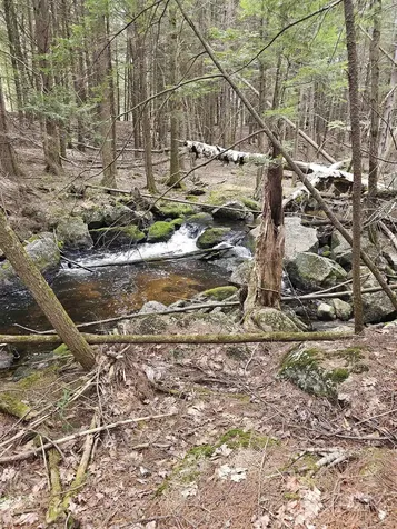 50 Range Road Pittsfield NH 03263