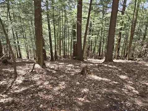 50 Range Road Pittsfield NH 03263