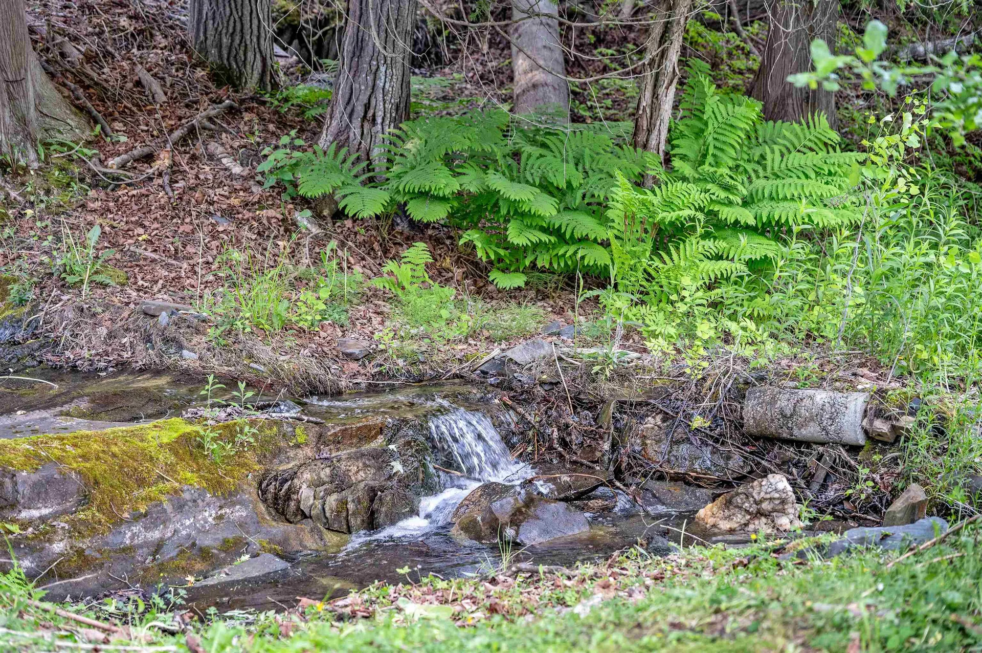 1867 Brookfield Road Berlin VT 05602