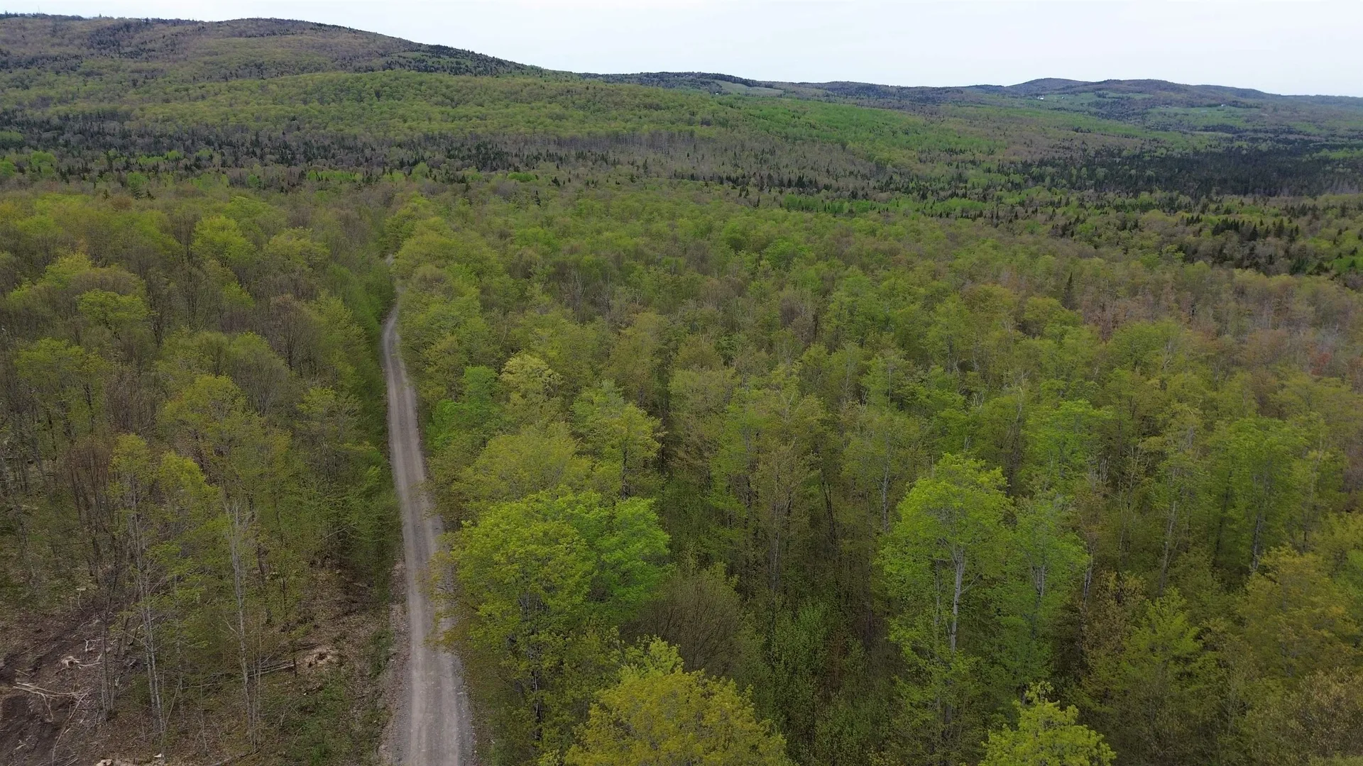 MAPB2LOT16 Deadwater Road Stewartstown NH 03597