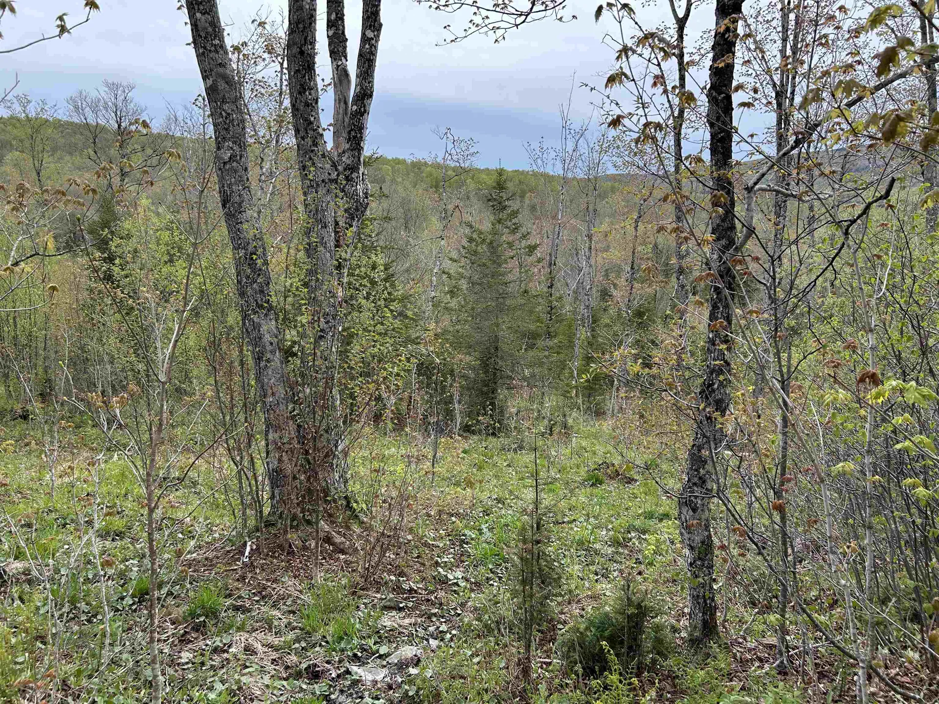 MAPB2LOT16 Deadwater Road Stewartstown NH 03597