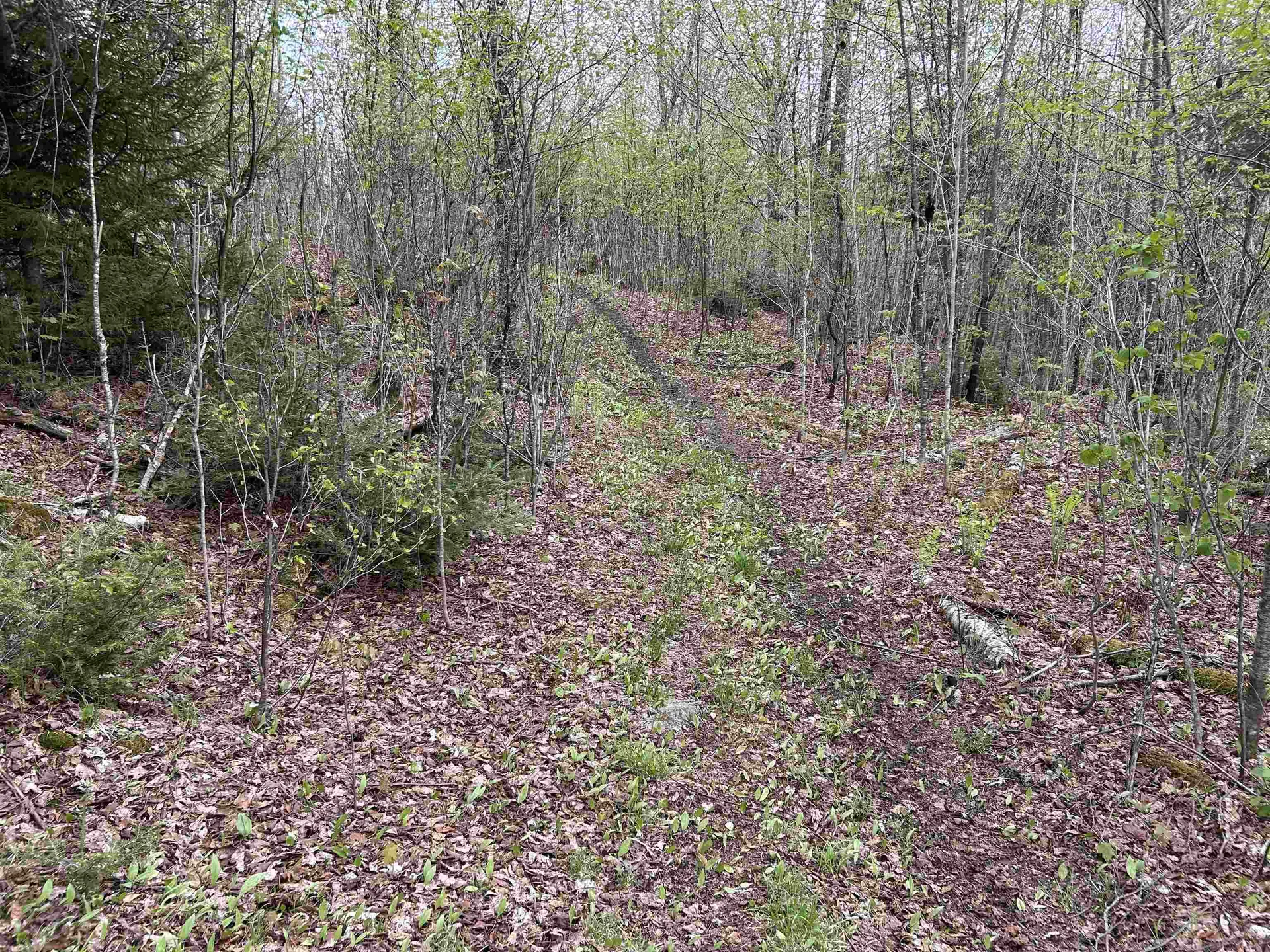 MAPB2LOT16 Deadwater Road Stewartstown NH 03597