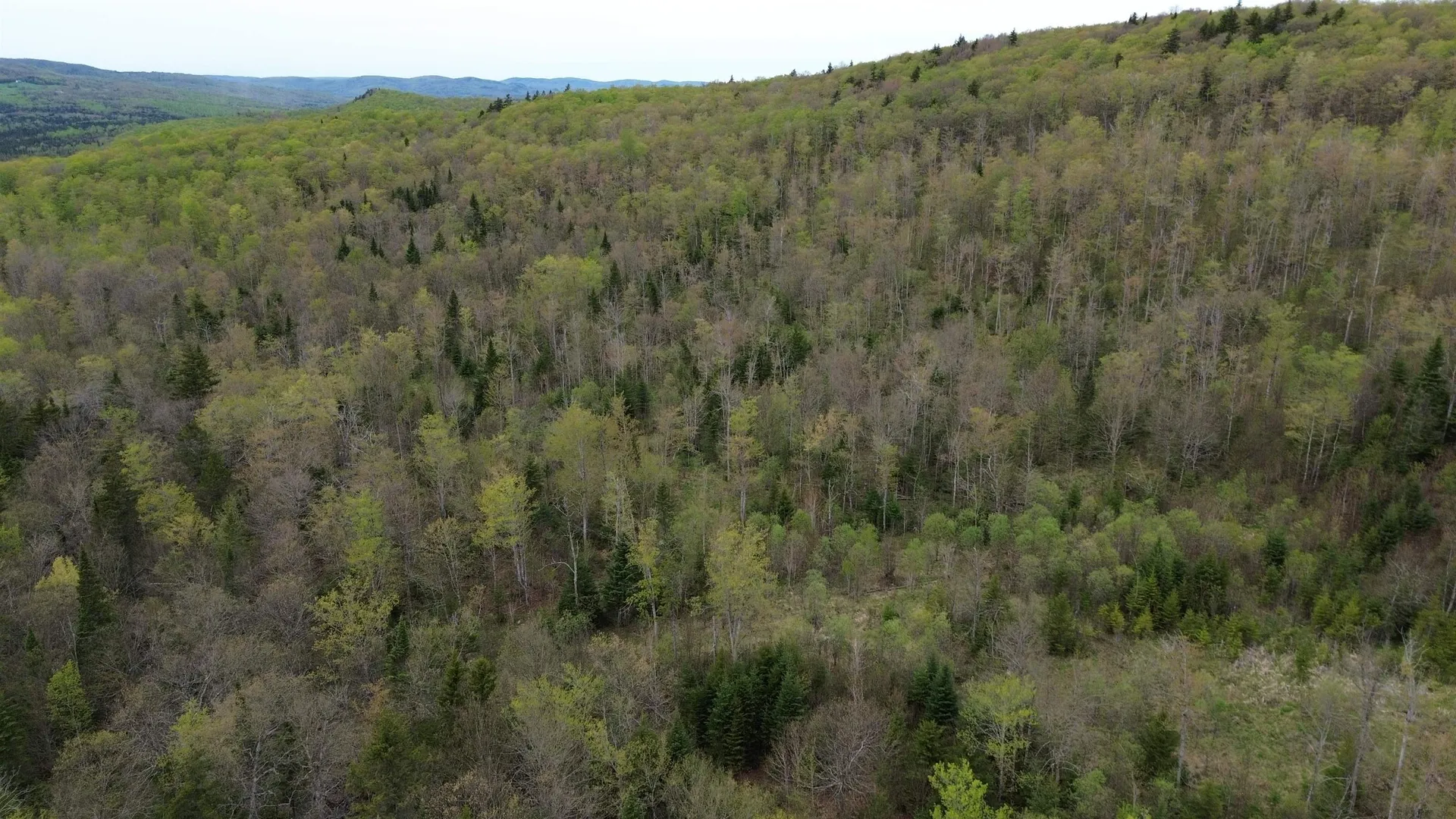 MAPB2LOT16 Deadwater Road Stewartstown NH 03597