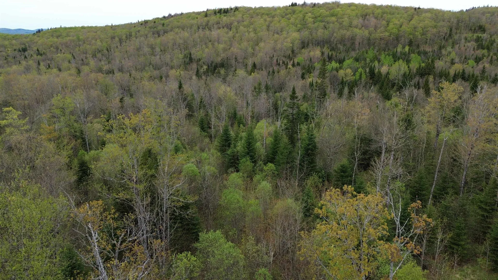 MAPB2LOT16 Deadwater Road Stewartstown NH 03597