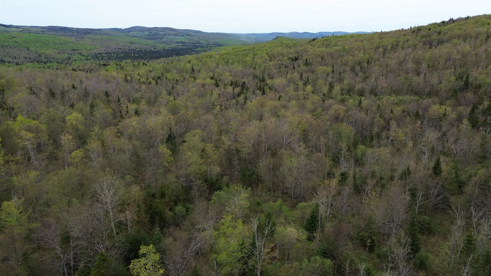 MAPB2LOT16 Deadwater Road Stewartstown NH 03597