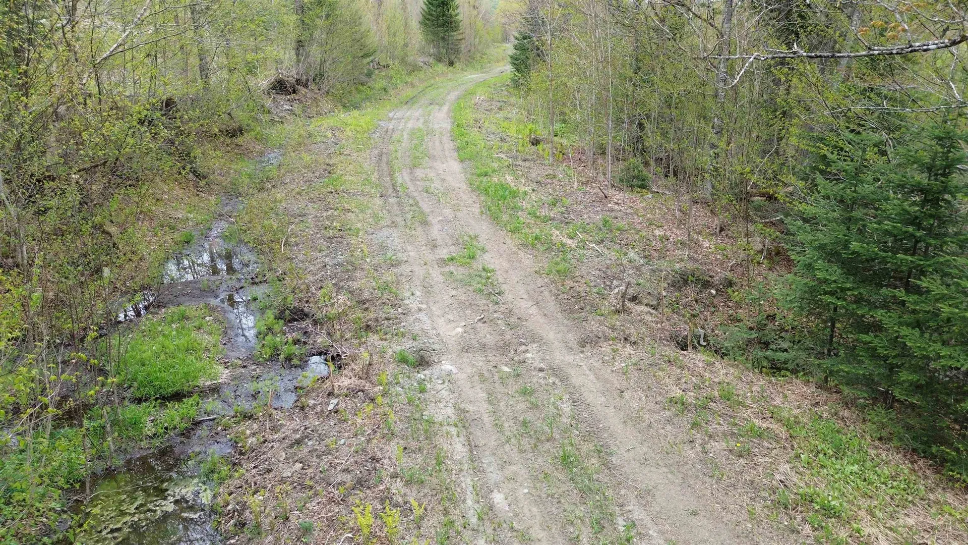 MAPB2LOT16 Deadwater Road Stewartstown NH 03597