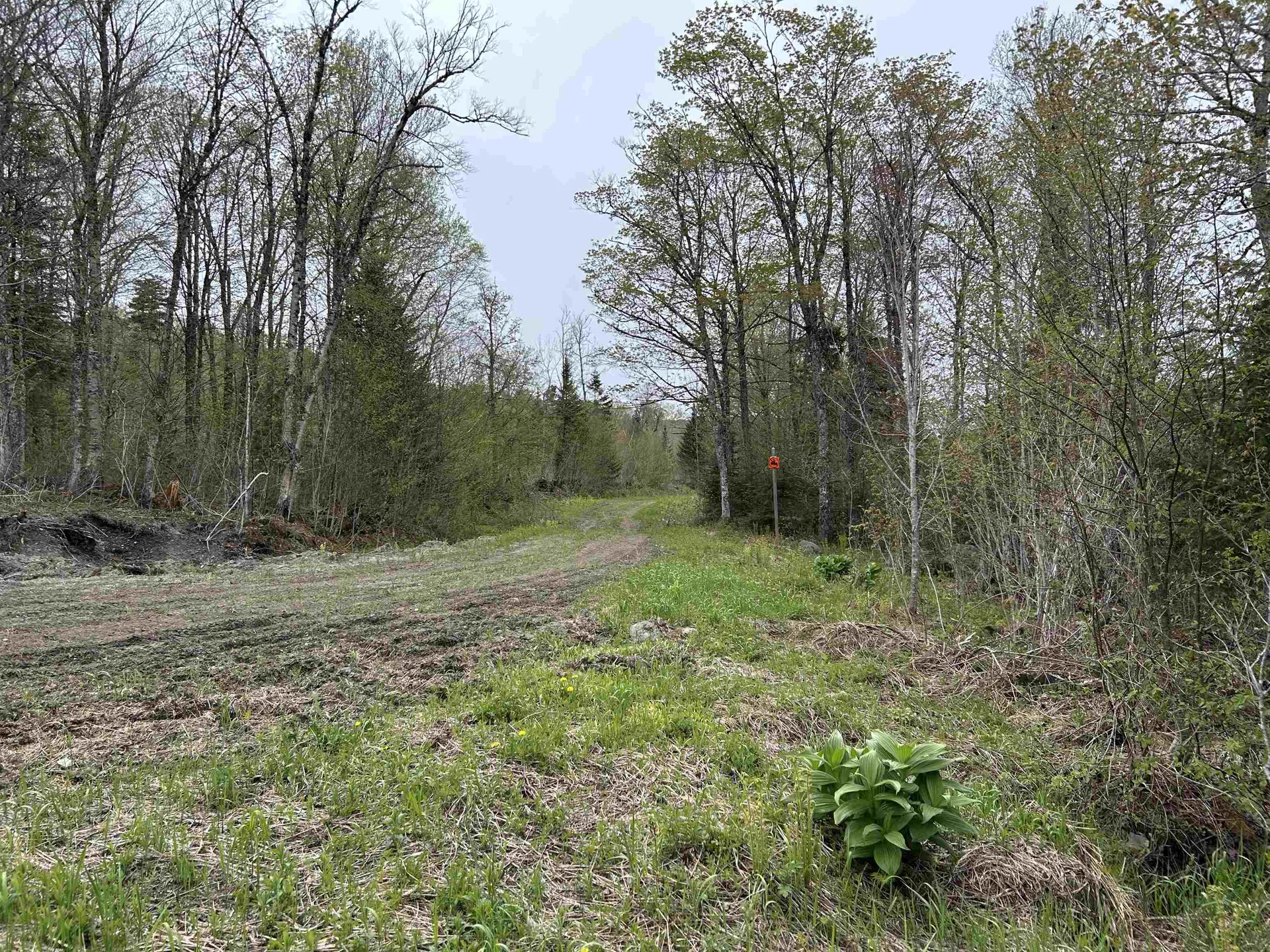 MAPB2LOT16 Deadwater Road Stewartstown NH 03597