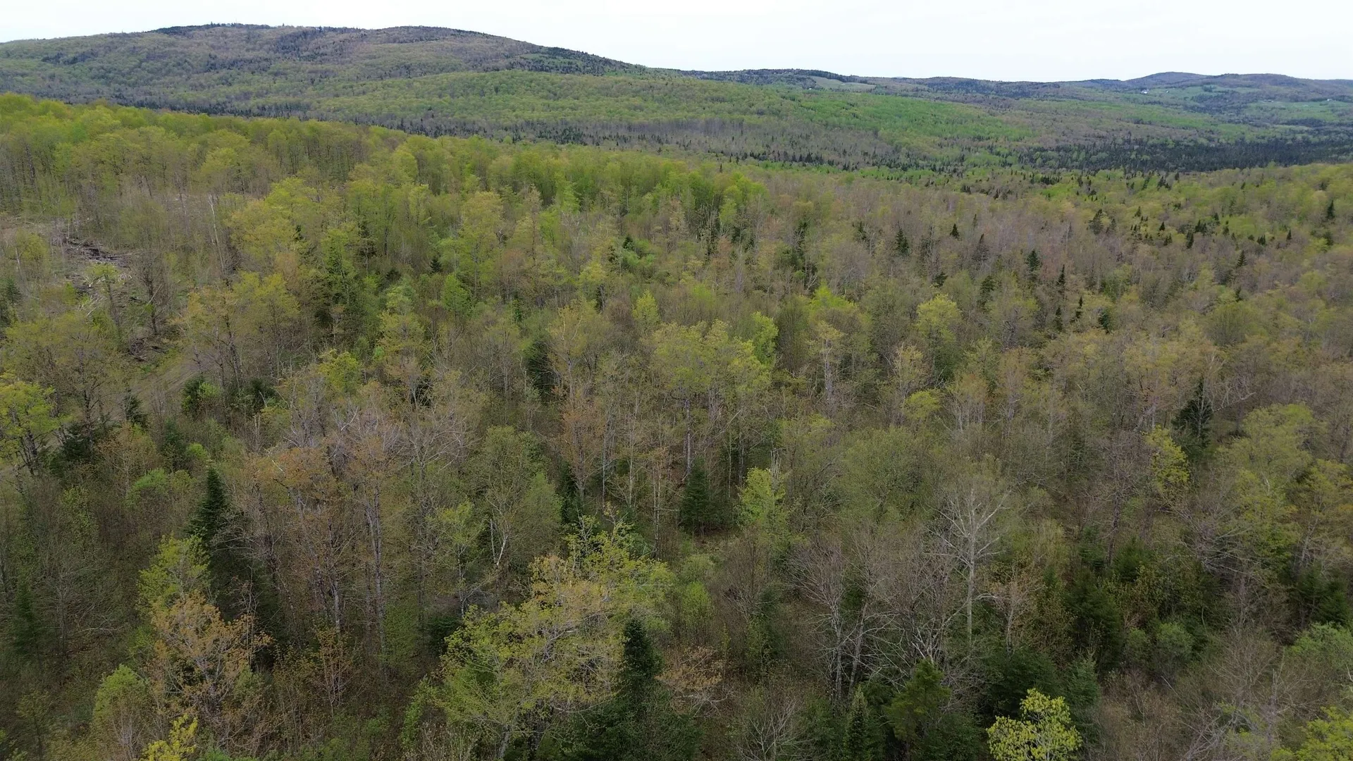 MAPB2LOT16 Deadwater Road Stewartstown NH 03597