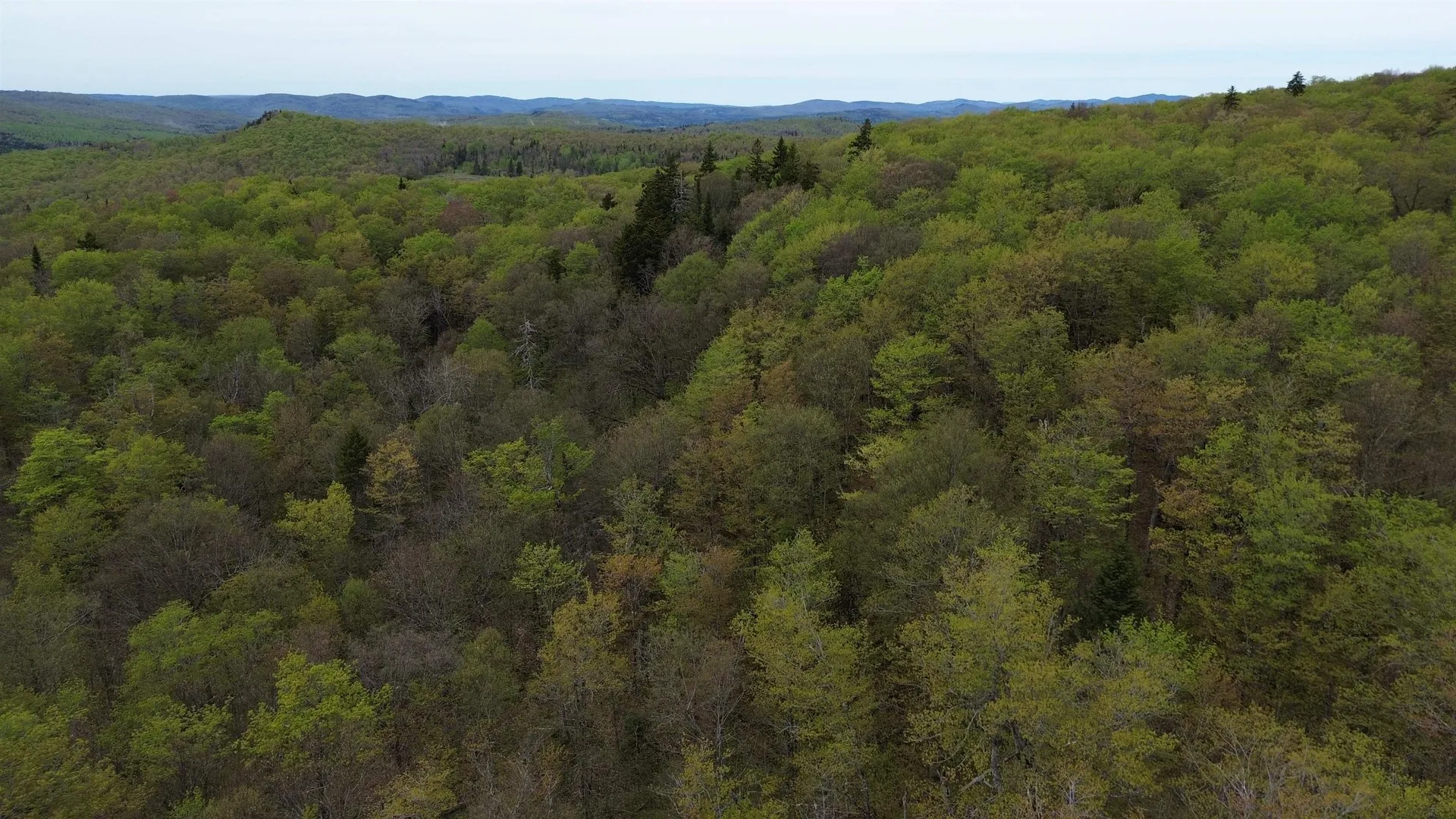 MAPB2LOT16 Deadwater Road Stewartstown NH 03597