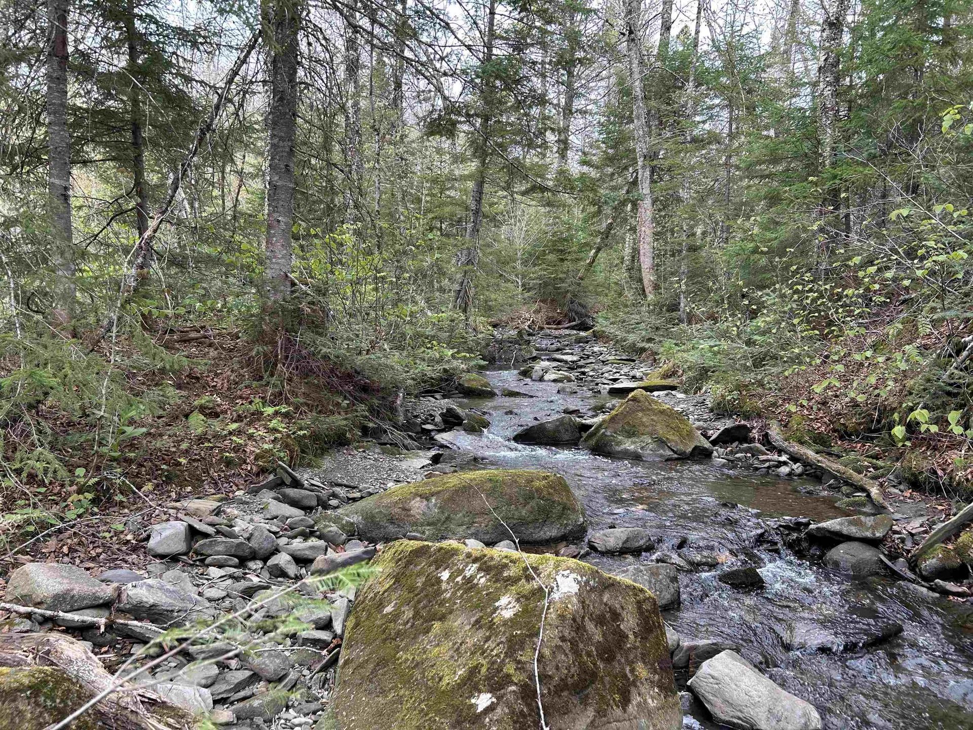 MAPB2LOT16 Deadwater Road Stewartstown NH 03597