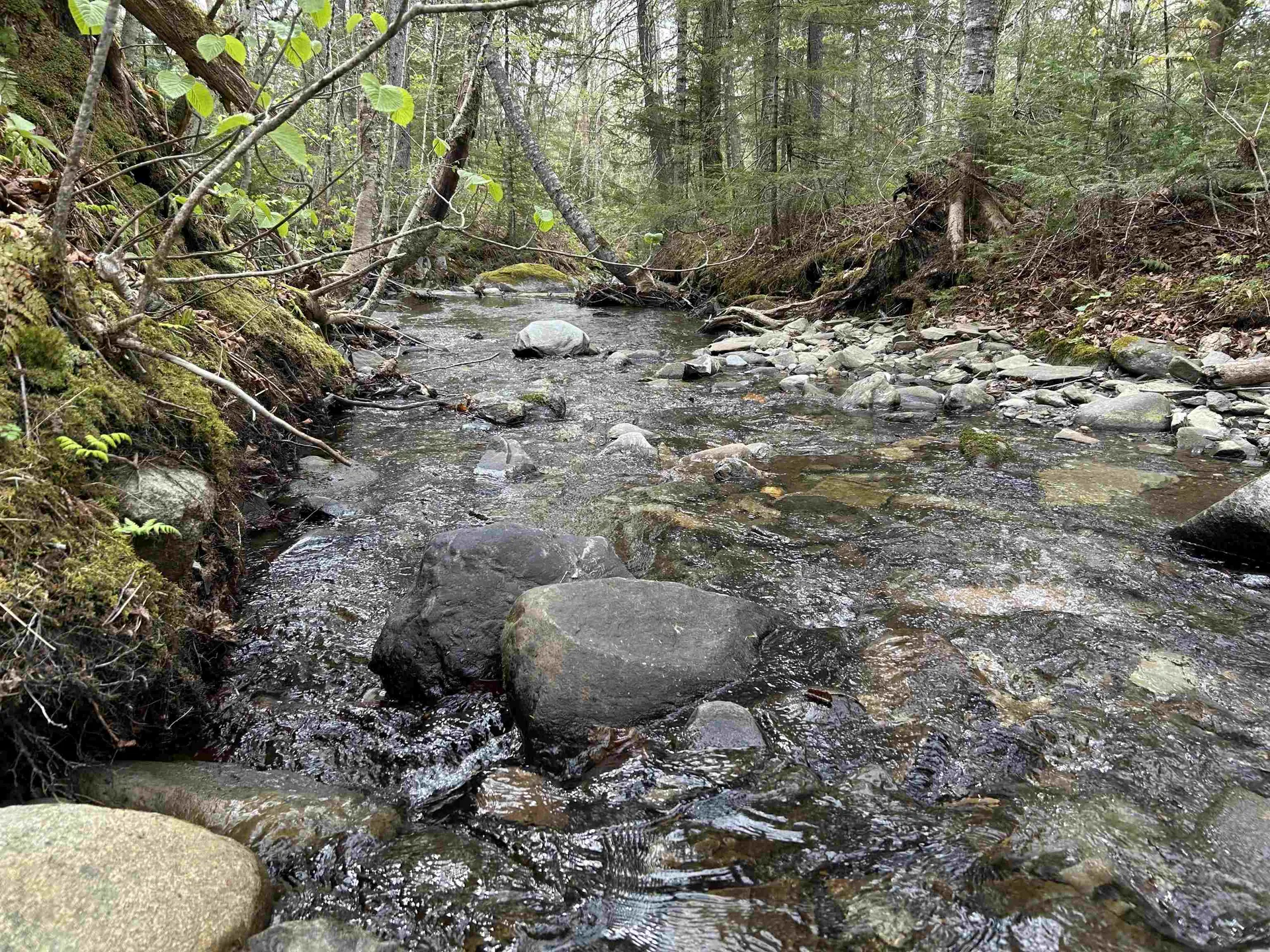 MAPB2LOT16 Deadwater Road Stewartstown NH 03597
