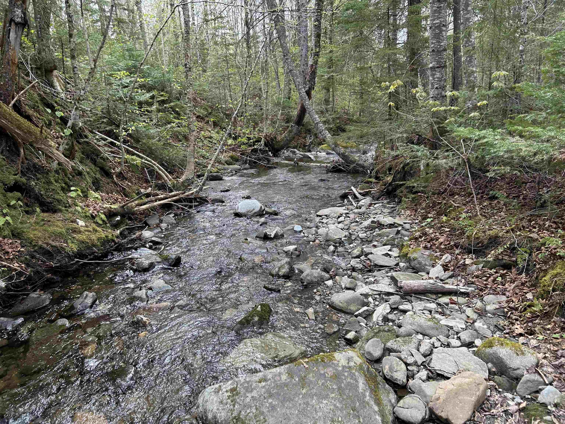 MAPB2LOT16 Deadwater Road Stewartstown NH 03597