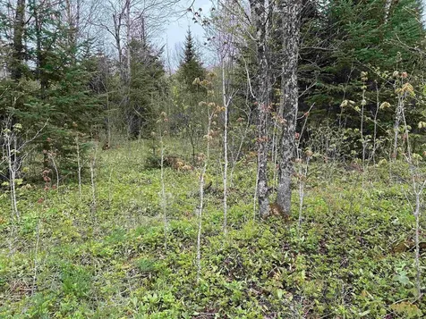 MAPB2LOT16 Deadwater Road Stewartstown NH 03597