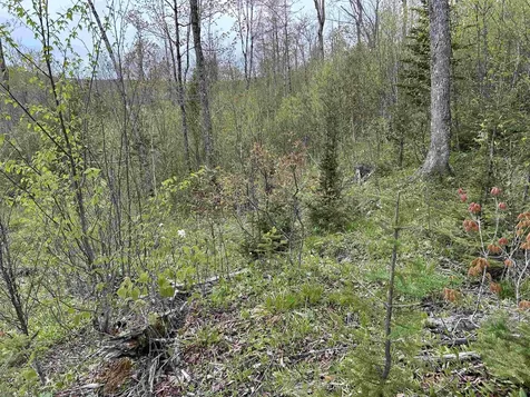 MAPB2LOT16 Deadwater Road Stewartstown NH 03597
