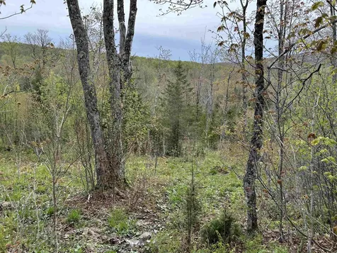 MAPB2LOT16 Deadwater Road Stewartstown NH 03597