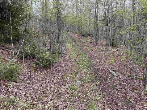 MAPB2LOT16 Deadwater Road Stewartstown NH 03597