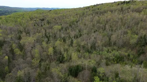 MAPB2LOT16 Deadwater Road Stewartstown NH 03597