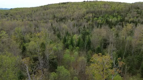 MAPB2LOT16 Deadwater Road Stewartstown NH 03597