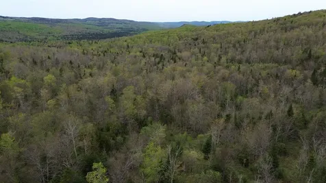 MAPB2LOT16 Deadwater Road Stewartstown NH 03597