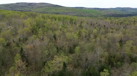 MAPB2LOT16 Deadwater Road Stewartstown NH 03597
