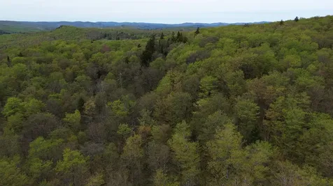 MAPB2LOT16 Deadwater Road Stewartstown NH 03597