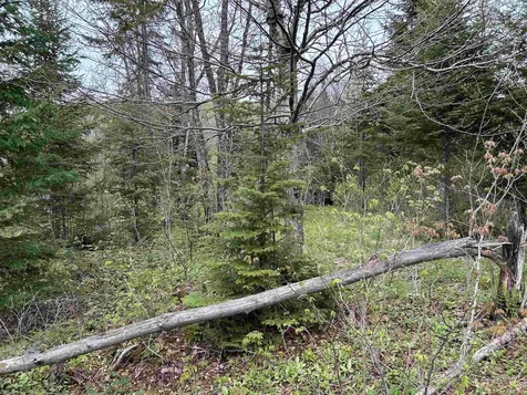 MAPB2LOT16 Deadwater Road Stewartstown NH 03597