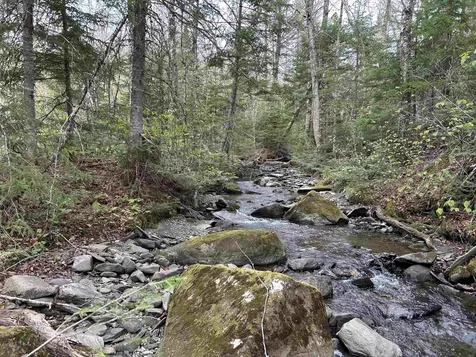 MAPB2LOT16 Deadwater Road Stewartstown NH 03597