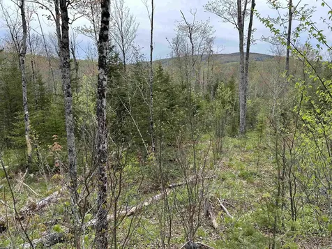 MAPB2LOT16 Deadwater Road Stewartstown NH 03597