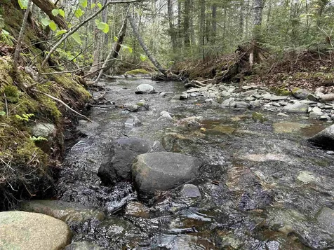 MAPB2LOT16 Deadwater Road Stewartstown NH 03597