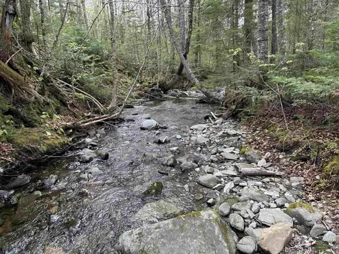 MAPB2LOT16 Deadwater Road Stewartstown NH 03597