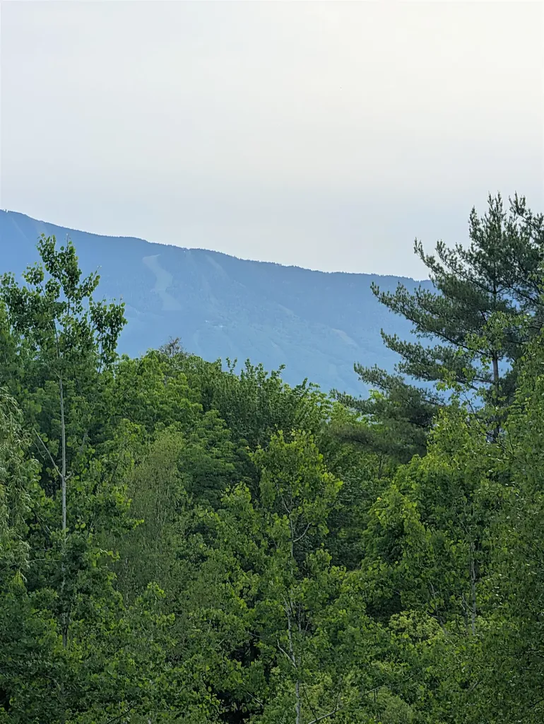 99 Bushnell Road Waitsfield VT 05673