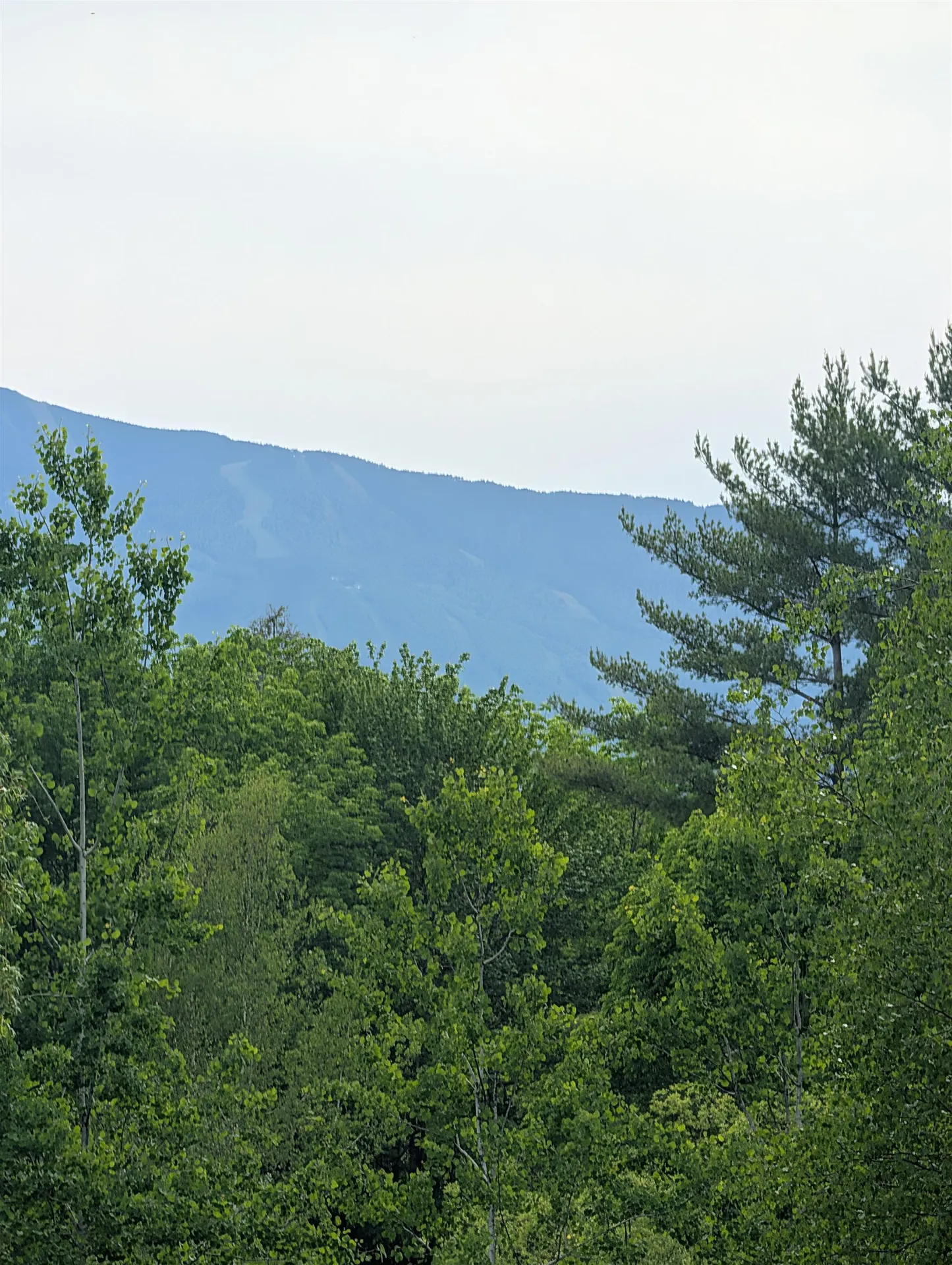 99 Bushnell Road Waitsfield VT 05673