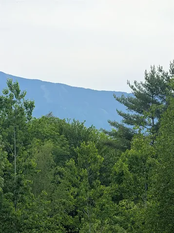 99 Bushnell Road Waitsfield VT 05673